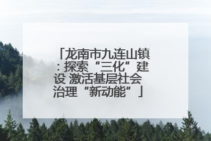 龙南市九连山镇：探索“三化”建设 激活基层社会治理“新动能”